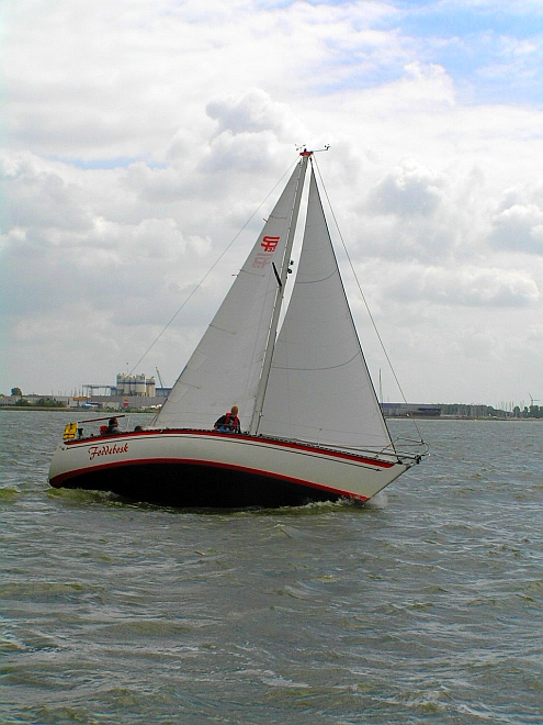 Lemsterbokking08 (173).jpg